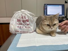 -派联宠物医院·24h·CT·异宠