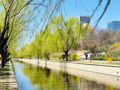 -元大都城垣遗址公园