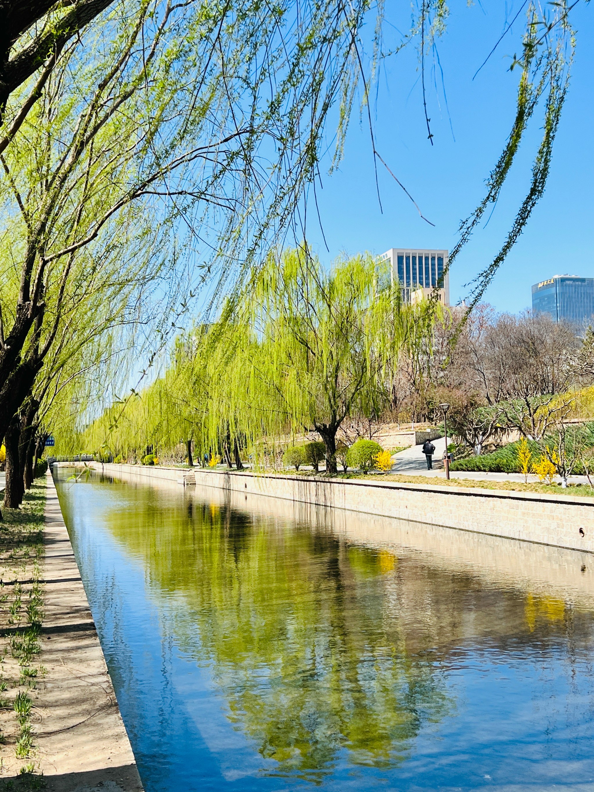 元大都遗址公园景点图片