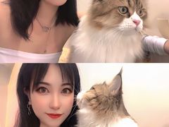 -More Fun猫咖 二十只万元加菲主题