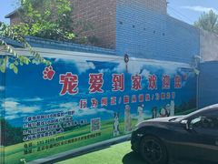 内部环境-宠物寄养训练学校
