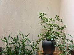 -畅和茶坊·曦瓜中国大红袍