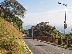-黄埔油麻山森林公园