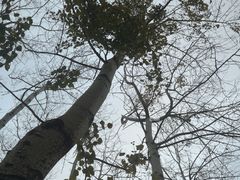 -仁和公园(顺义区)