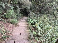 -杭州半山国家森林公园