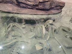 -大庆市博物馆