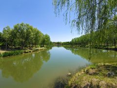 -东郊湿地公园