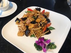-云中小雅