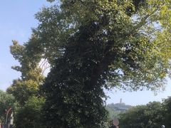 -仙山湖景区