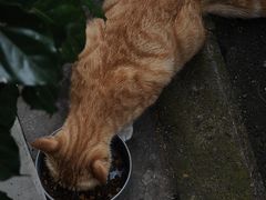 -SeekSeeking咖啡专门店(堰塘街店)