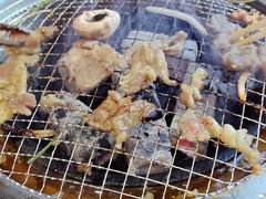 -四斤烤肉(东戴河孟家店)
