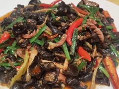 -陈麻婆豆腐总店