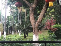 -顺丰轩园林酒家(天河店)