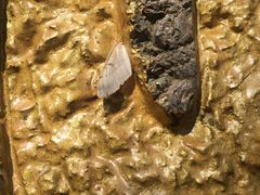 -宁波五龙潭景区