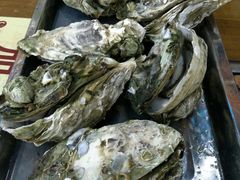 原只蒸生蚝-蚝得喜海鲜(东城店)