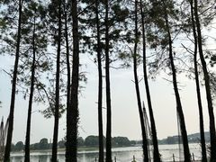 -上海月湖雕塑公园