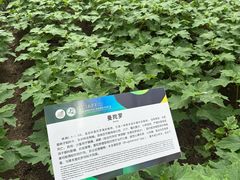 -长春农业博览园