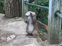 -御轩足道·SPA·养生·保健(瑞金北路店)