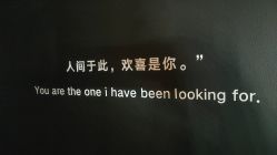 -Mu慕婚纱摄影·超级工作室