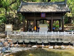 -大运河源头遗址公园