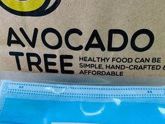 -油梨树AVOCADO TREE(望京店)