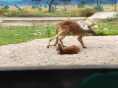 -西安秦岭野生动物园