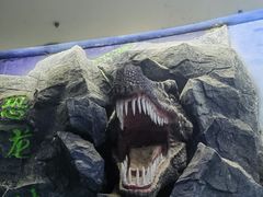 -吉林省自然博物馆