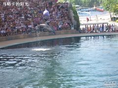 -秦皇岛乐岛海洋王国