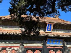 -北京国子监胡同