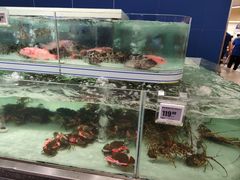 -盒马X会员店(上海森兰商都店)