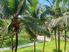 -海南清水湾莱佛士酒店