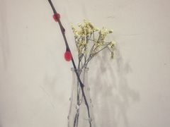 餐具摆设-漫雪的茶