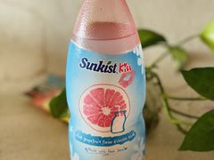 蜜桃味汽水-官老大干副食