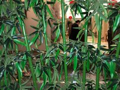 -东方山水金沙酒店-雅香阁中餐厅