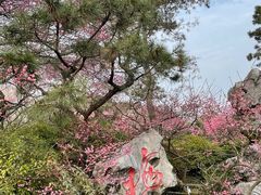-杭州植物园