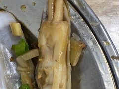 -爱蚝屋