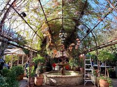 -The Grounds of Alexandria