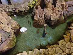 -庭院小酌(瑞莲街店)