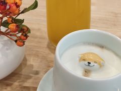 -柴犬小屋·柴餐厅·狗咖食堂(金鼎广场店)