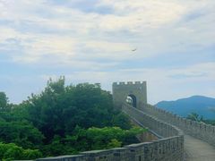 -黄贤森林公园