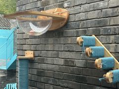 -BE YOLO必有乐&小红帽三明治