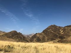 -新疆天山野生动物园