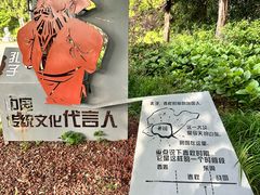 -嘉定紫藤园