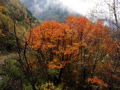 -叠溪松坪沟景区