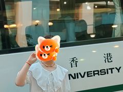 -香港大学