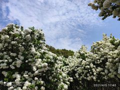 -宜兴龙背山森林公园