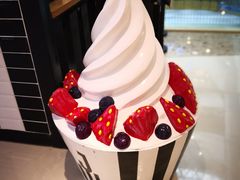 -JW德国冻酸奶Frozen Yogurt(龙湖成都滨江天街店)