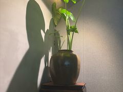 -本处·素食·融合料理(南油店)