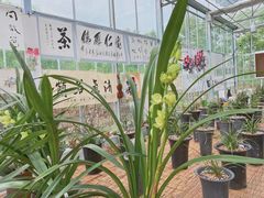 -真爱年华水疗健康运动中心(朱雀大街店)