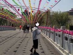 -龙口南山旅游景区